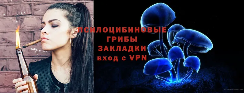 Галлюциногенные грибы Psilocybe  где купить   Верея 